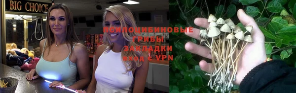 тгк Абинск