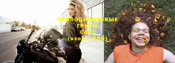 тгк Абинск